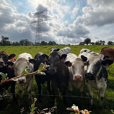 Casa de Férias Domaine Les Fontaines