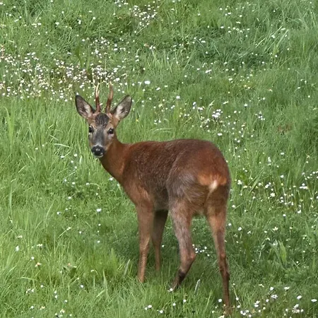 Domaine Les Fontaines Casa de Férias *
