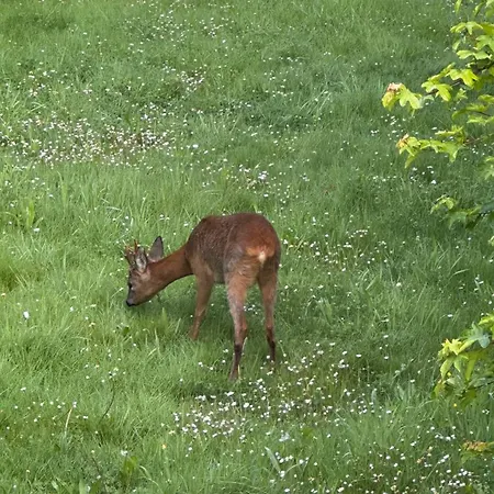 Casa de Férias Domaine Les Fontaines