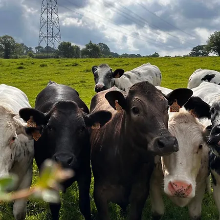 Domaine Les Fontaines Casa de Férias Marchésieux