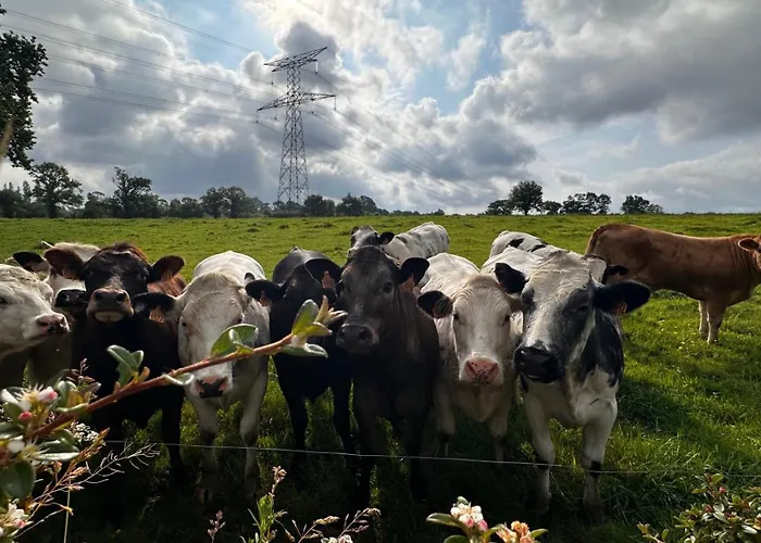 Tatil Evi Domaine Les Fontaines