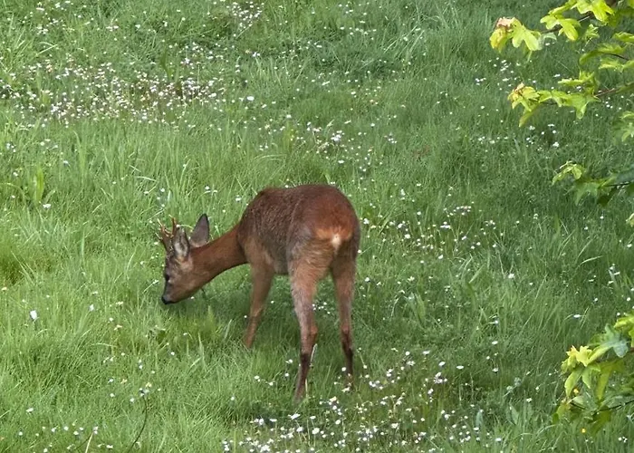 Tatil Evi Domaine Les Fontaines