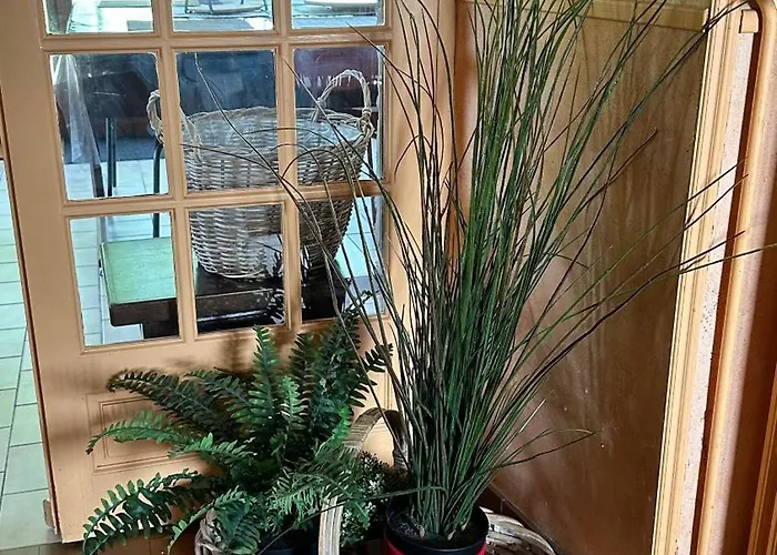 Tatil Evi Domaine Les Fontaines *